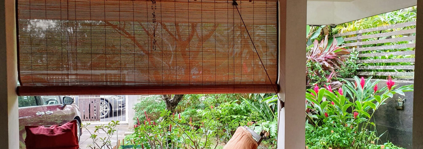 Outdoor Bamboo Chicks Singapore